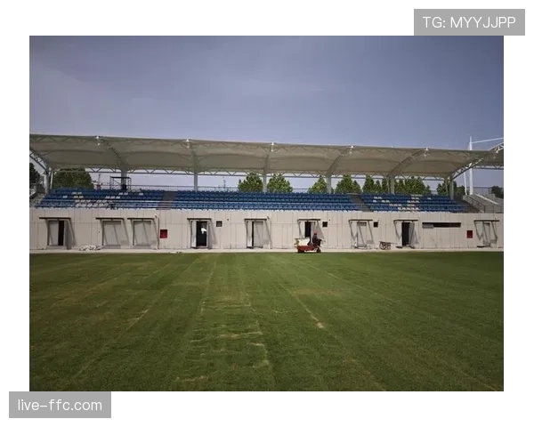 梅斯塔利亚球场启动看台安全升级工程