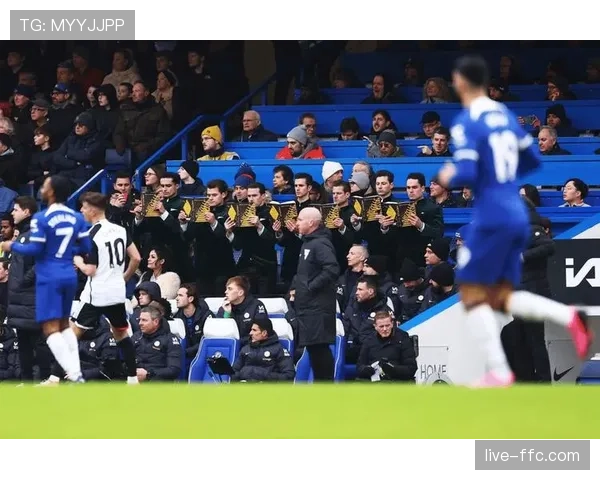 事件复盘:富勒姆球迷冲入场内庆祝导致比赛中断,俱乐部遭指控 事件复盘:富勒姆球迷冲入场内庆祝导致比赛中断,俱乐部遭指控